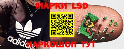 ECSTASY Рязань
