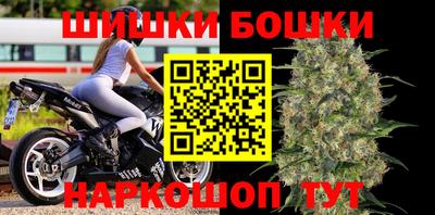 индика Рузаевка