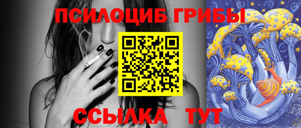 Псилоцибиновые грибы GOLDEN TEACHER Саранск