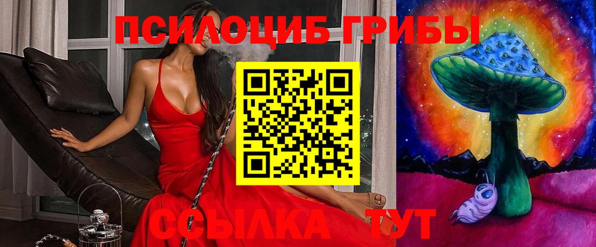 Галлюциногенные грибы мухоморы  Галлюциногенные грибы Psilocybine cubensis  Вход с VPN  Саранск 